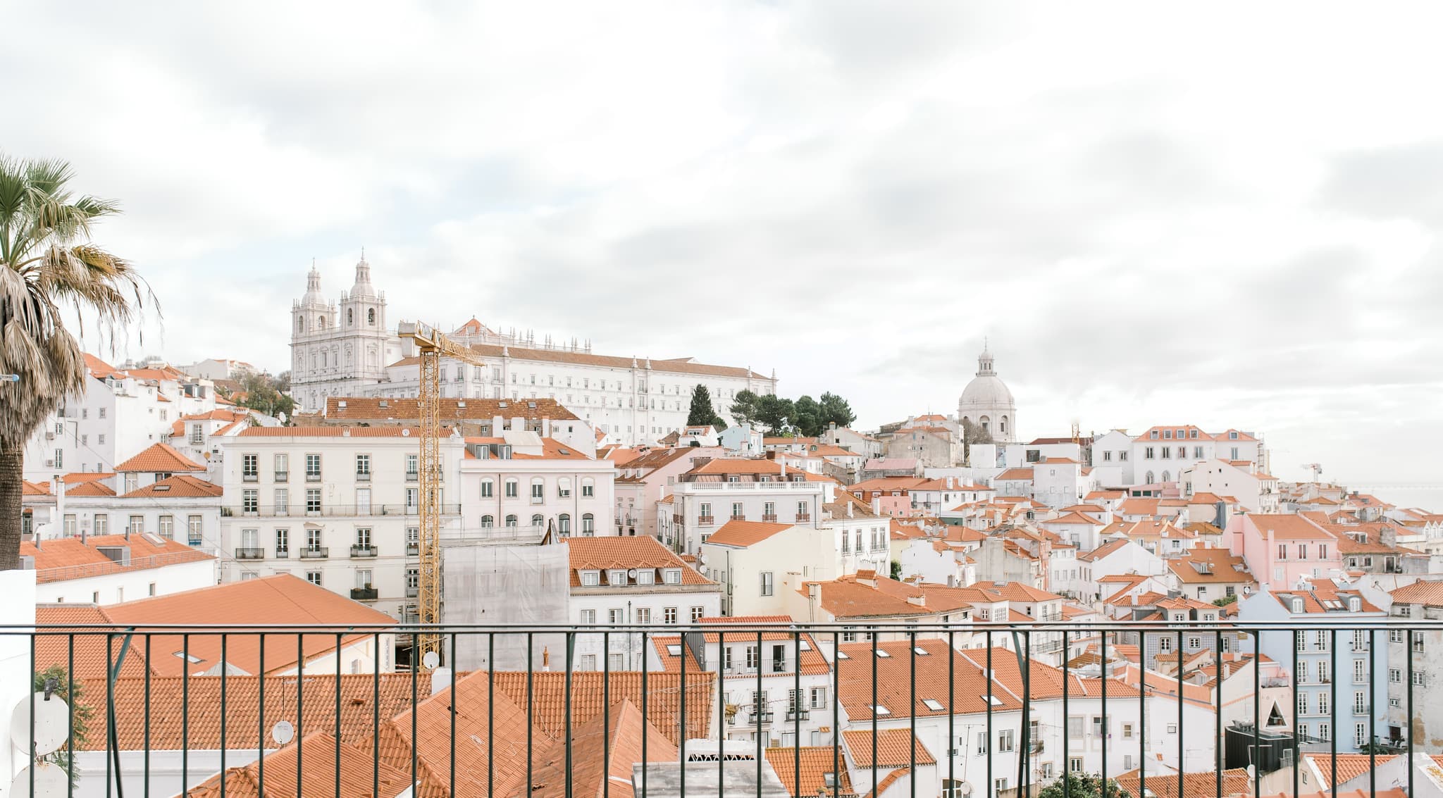 Picture of the author